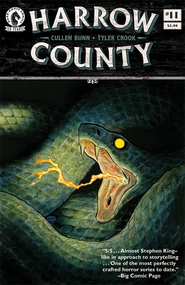 Harrow County #11 Cover by Tyler Crook